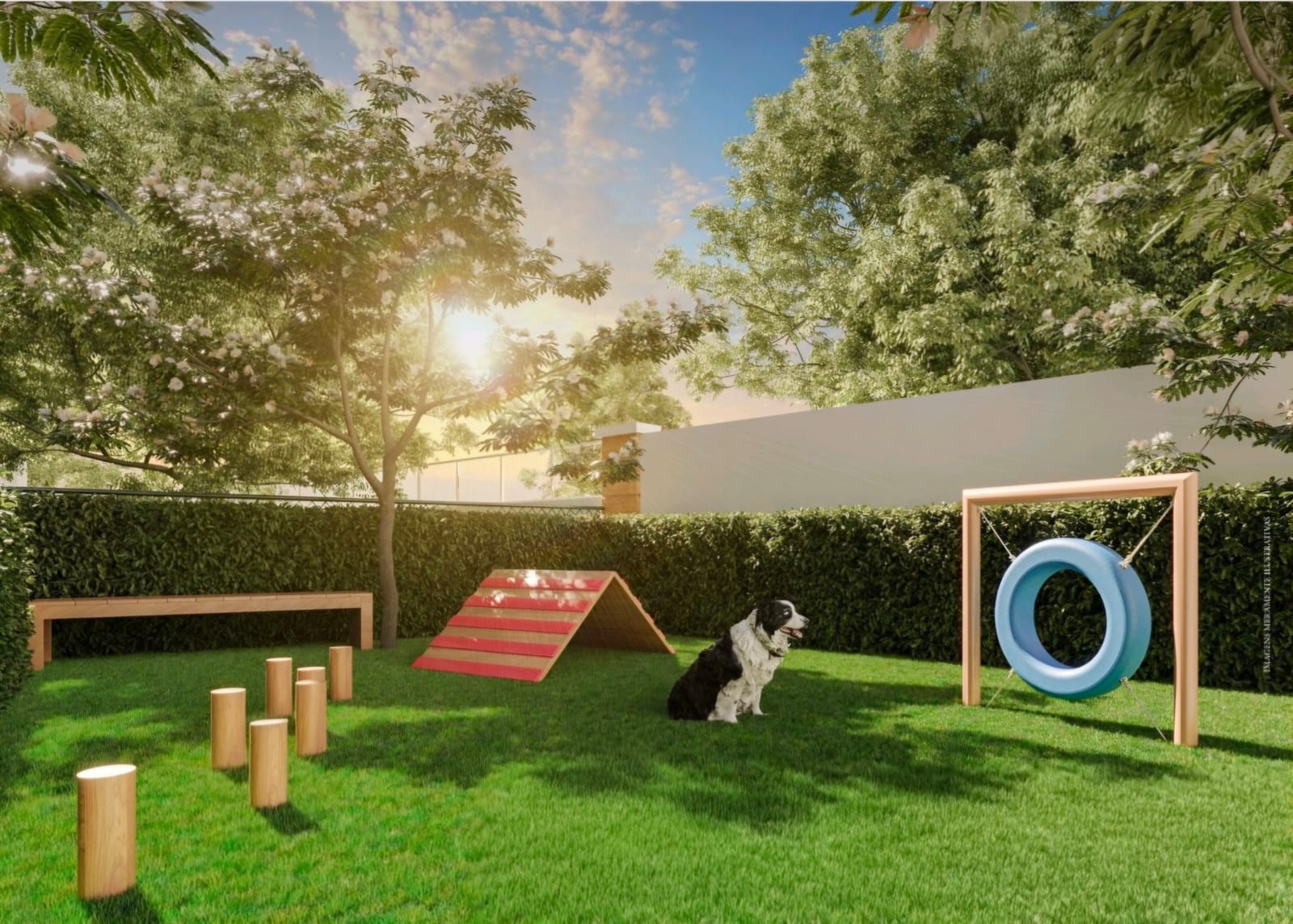Pet Place projetado para o seu melhor amigo
